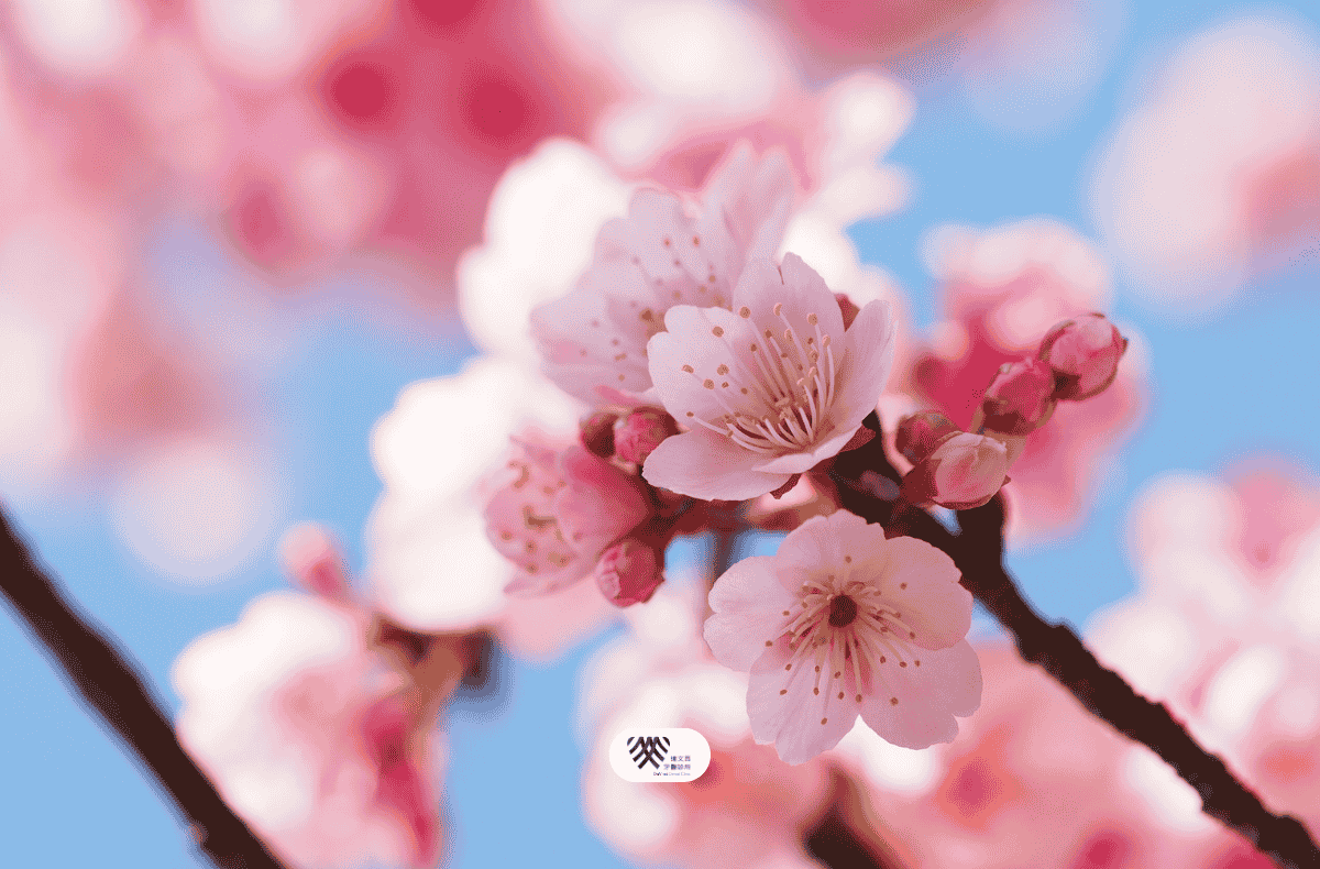 Read more about the article 門診公告|2025年清明連假4/3(四)-4/6(日)休診